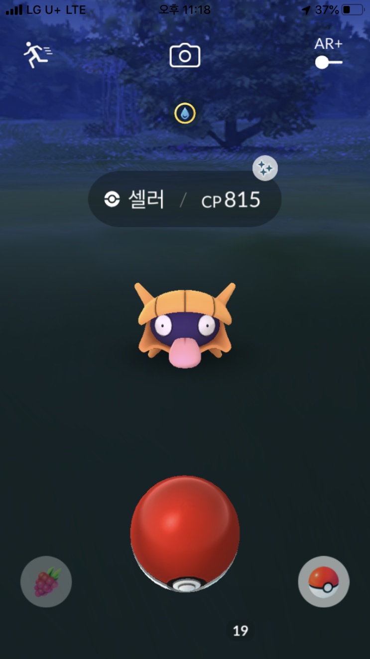  드디어 셀러 이로치!