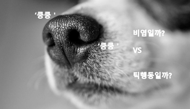  [틱장애의 진실] 비염, 감기로 인한 행동과 틱행동 어떻게 구분할 수 있을까?