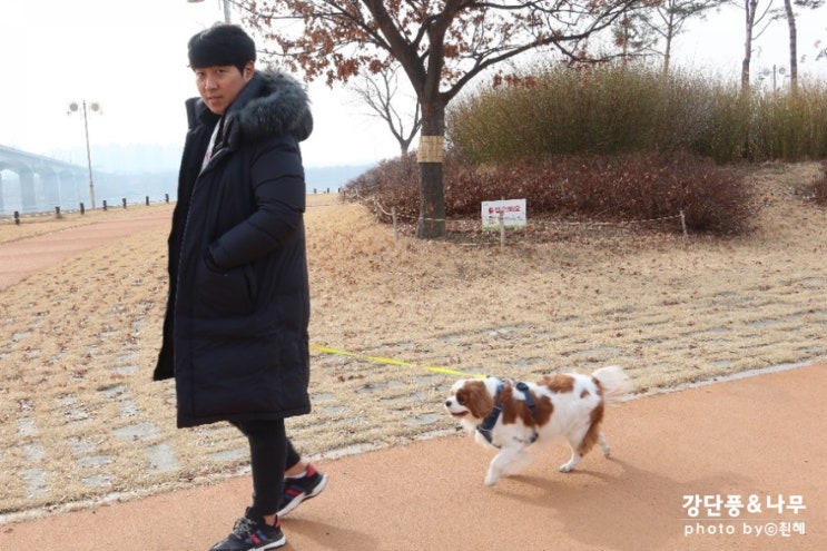  덕소 가볼만한곳 삼패지구 한강공원 강아지와