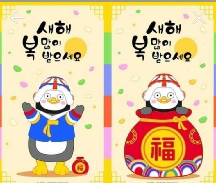 시그니처디자인 2020년 고객감사 프로모션 안내 시그니처디자인 2020년 고객감사 프로모션 안내