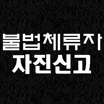  대구 불법체류자 자진신고 절차