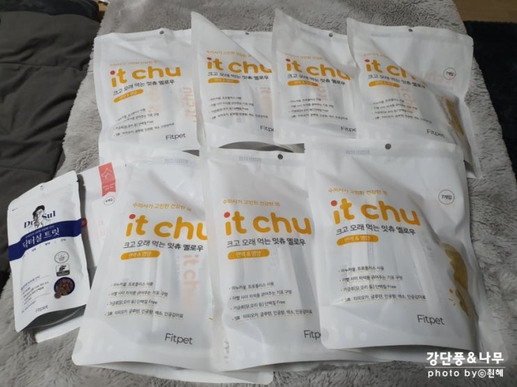  강아지 잇츄 치석제거 입냄새 제거 수의사가 만든 개껌