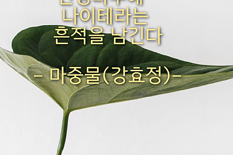 나이테주 이미지