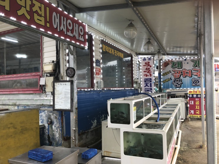  영덕] 곰치(물곰)국 맛집_주원수산 (내돈내먹)