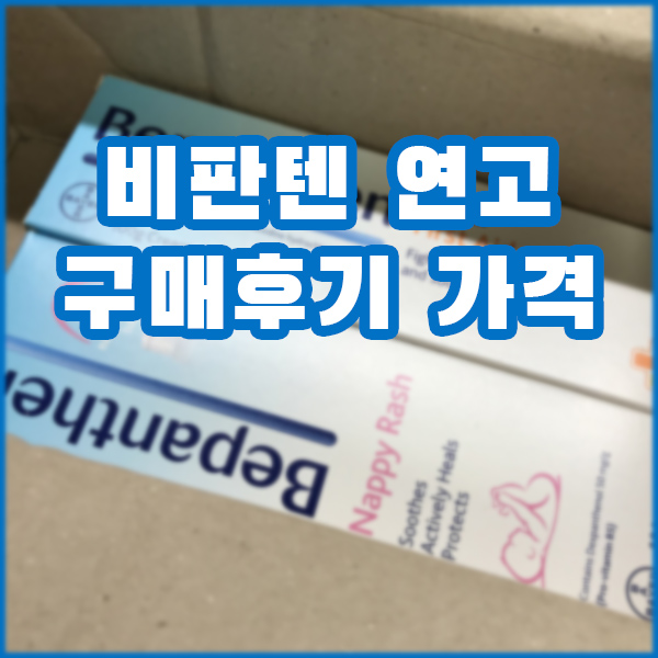  피부질환 비판텐 연고 대용량 구매 후기 가격