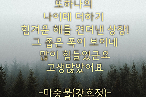 나이테주 이미지