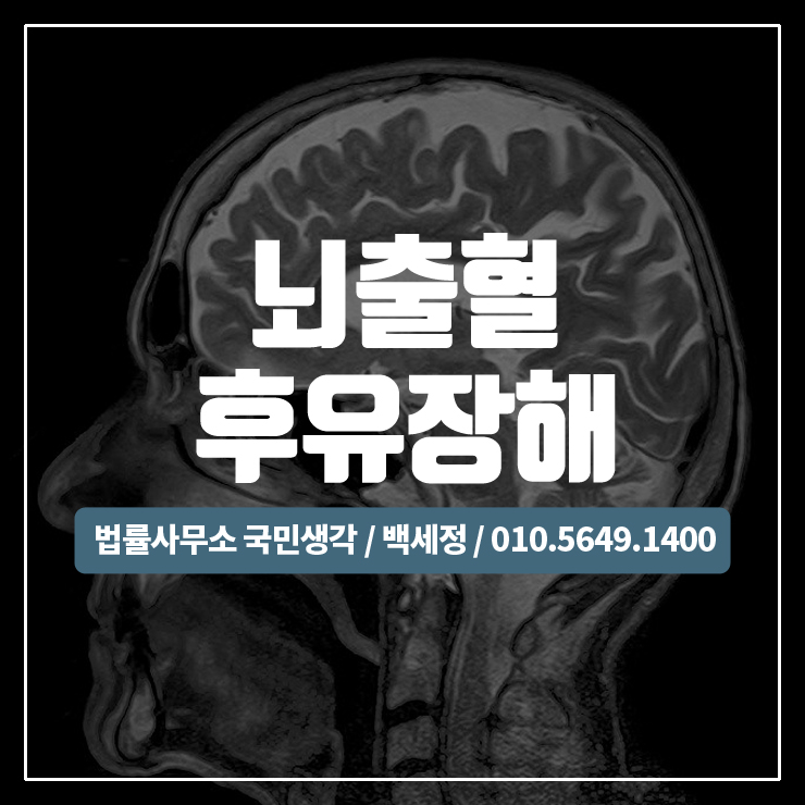  뇌출혈로 인한 후유장해 보상받기 / 종합법률사무소 국민생각:백세정