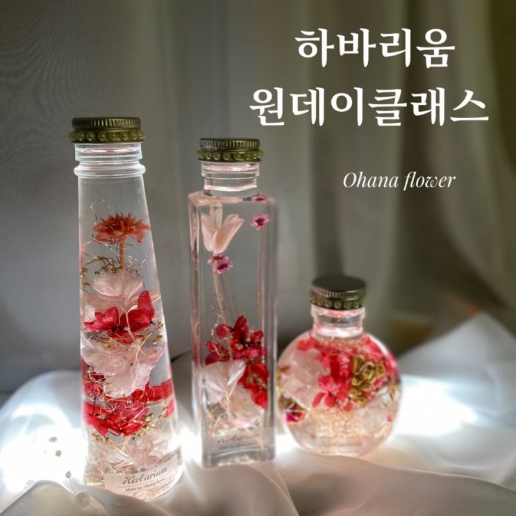  선물로 인기 좋은 하바리움만들기 원데이클래스  :: 부산 수영 해운대 플라워스튜디오 Ohanaflower