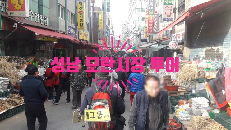  성남 모란시장 시장 투어