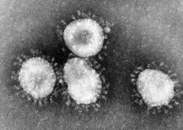 [이시국뉴스] 신종 코로나 바이러스에 대해 알려드립니다. (+코인러들에게 드리는 말씀)