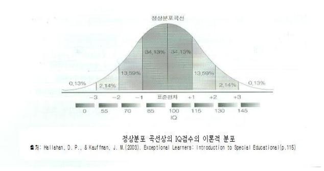 243) 지적장애와 경계성 지능장애의 차이 (2)