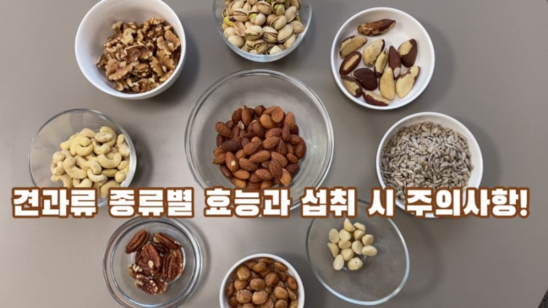 견과류 영양소 / 견과류별 효능 알아보기! ! 4