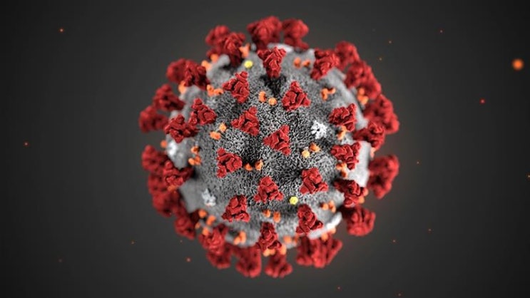 신종코로나바이러스 감염증 상황 실시간으로 보는법