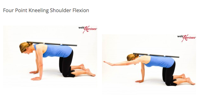  교정운동? 교정운동학? Corrective Exercise 란 무엇인가?