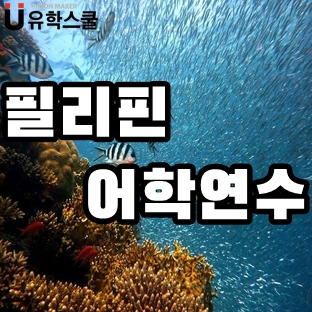  필리핀어학연수 모든 코스가 전문적, 체계적인 SMEAG어학원!