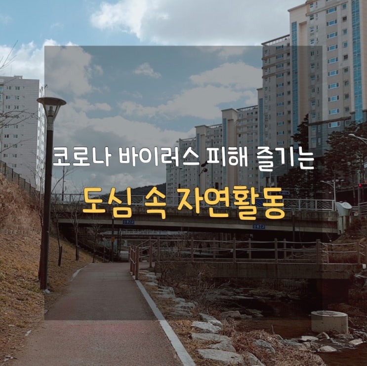  [미세먼지 없이 맑은 날, 그냥 보낼수야 없지] 산책하며 자연을 즐겨요