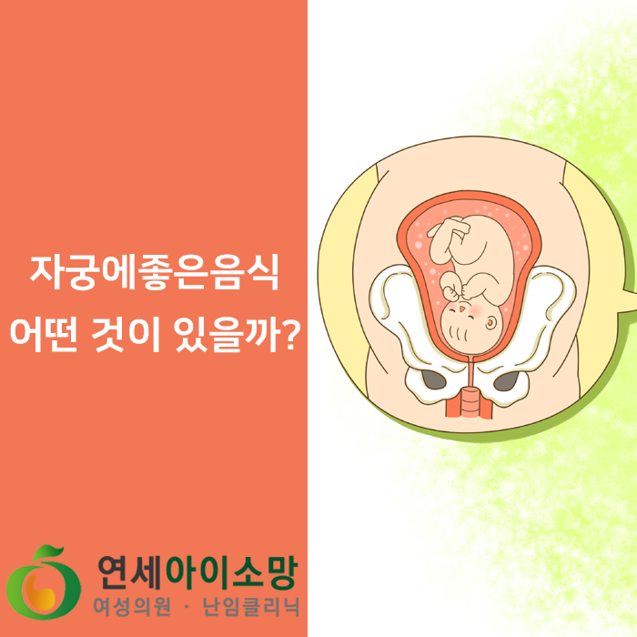  자궁에 좋은 음식으로는 어떤 것이 있을까?