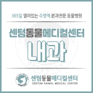  [내과 소개] 부산 수영역 동물병원 센텀동물메디컬센터 (수영구 24시)