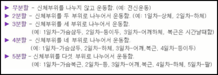  효과적인 헬스 분할운동법