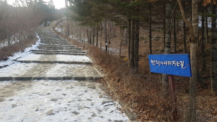  오대산 상원사의겨울
