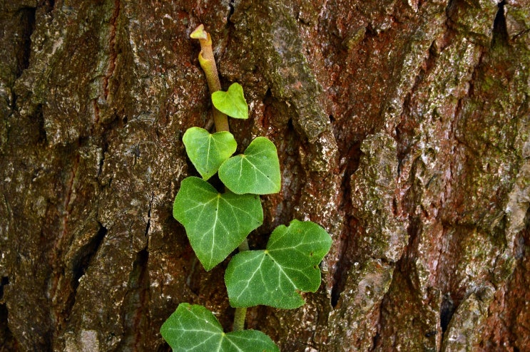  똑같은 시간도 어떻게 활용하는지에 따라 달라요