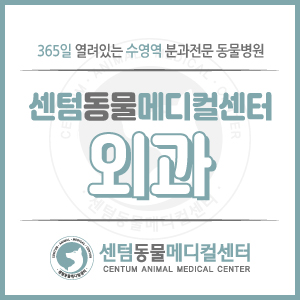 [외과 소개] 부산 수영역 동물병원 센텀동물메디컬센터