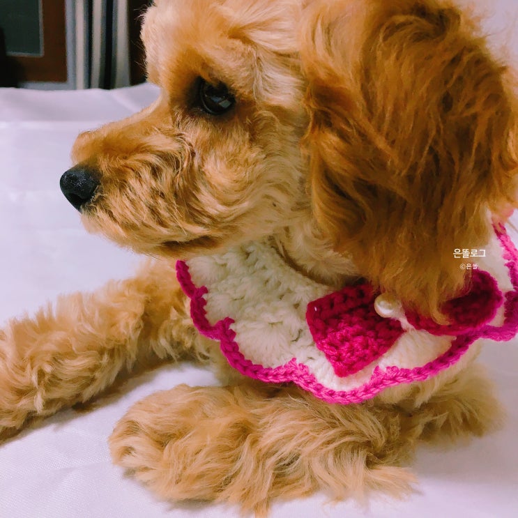  스마르스또어..일기 : ) 8. 마케팅 어떻게 할 것인가? 유입과 전환률 높혀보자!