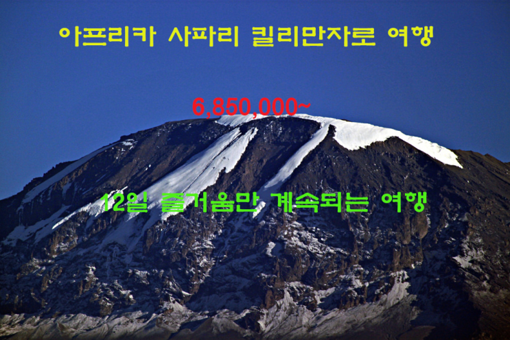  아프리카 사파리 킬리만자로 트레킹 12일