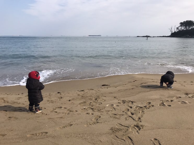  두 아들들과 겨울에 바다여행