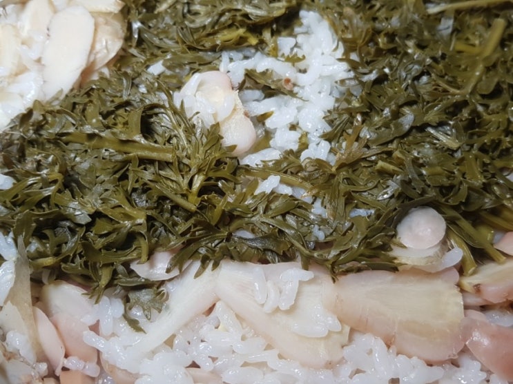 마카로만 마카로만