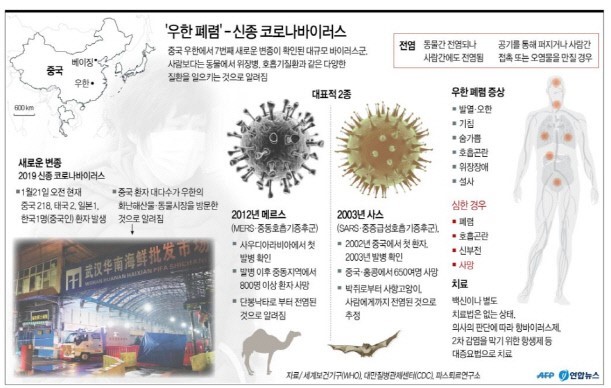  우한폐렴 20년 01월 31일 기준 현황정리