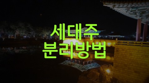  세대주 분리 방법 안내