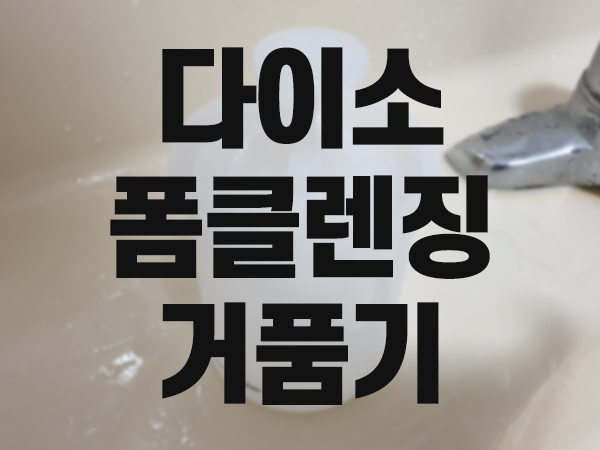  다이소 폼클렌징 거품기