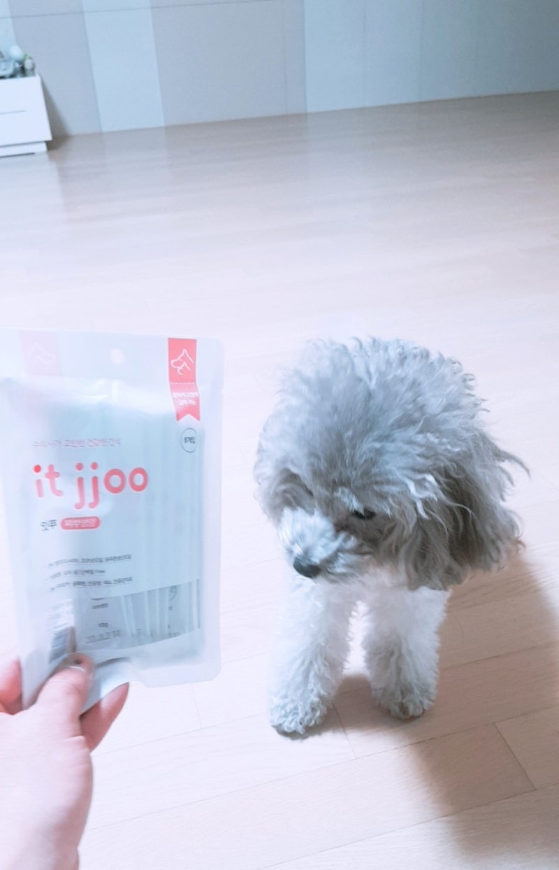 ìš©í˜„ë™ í•œêµ­ë™ë¬¼ë³'ì› ê°