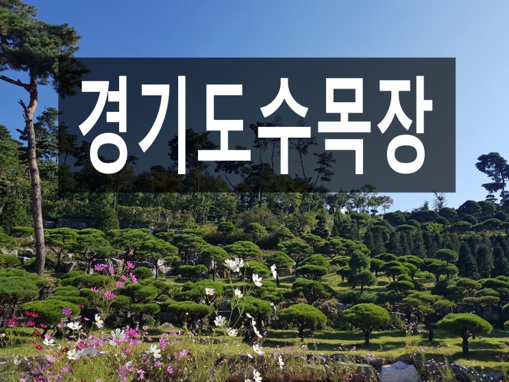  경기도수목장 가격이 궁금하신가요??