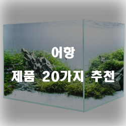  후회없는 어항 상품 20가지 순위 리스트
