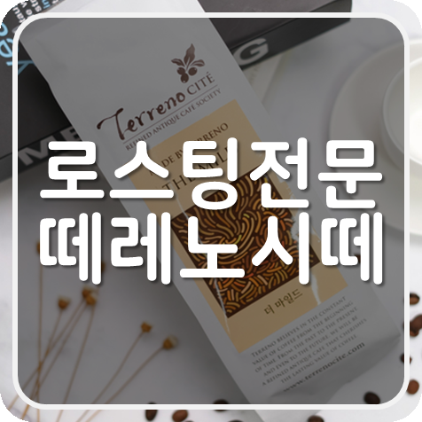  떼레노시떼 향기로운 로스팅 원두 향미에 빠지다.