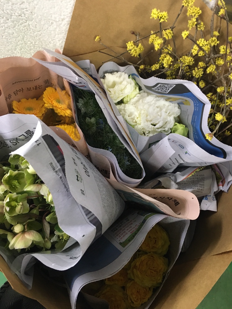 고터꽃시장에서 다녀왔어요