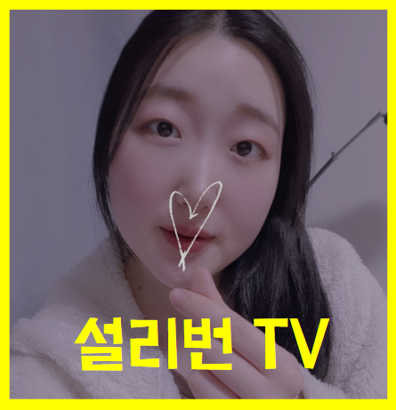  포트폴리오2020 - 컨텐츠 크리에이터 설리번 1월 성과 & 2월 계획(+네이버 애드포스트 수익)