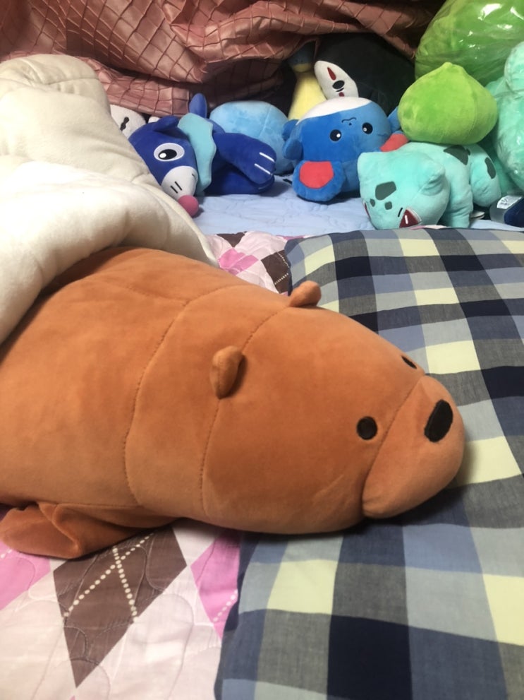  [븅화블로그씨]븅화를 따뜻하게 해주는 장소는 븅화방 전기장판 위