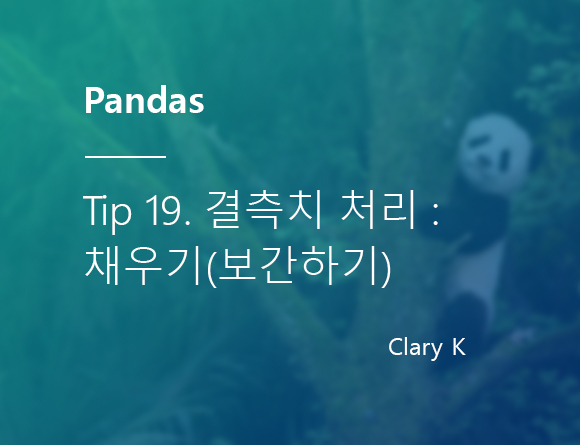 [파이썬] 판다스(pandas) 팁19. 결측치 처리 : 채우기/보간하기/대체하기(Imputation)