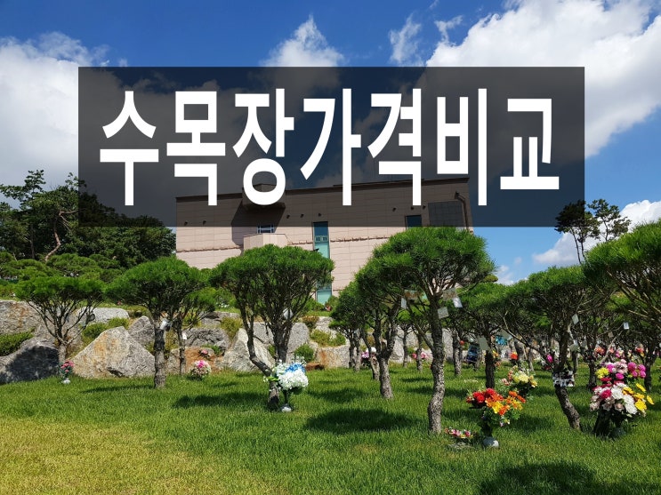  수목장가격비교는 가족을 위한 꼭 필요한 과정입니다.