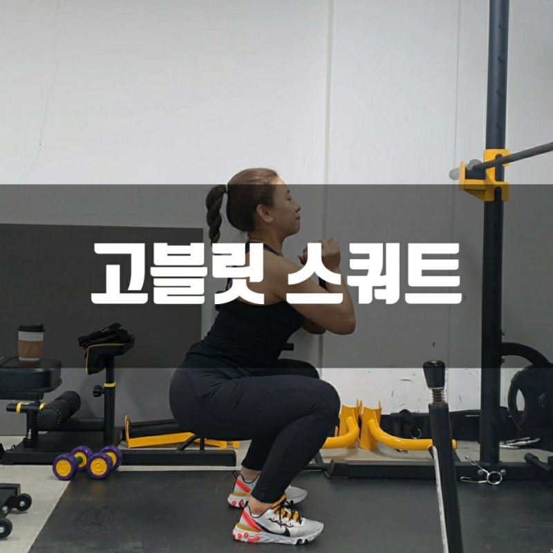 고블릿 스쿼트(덤벨 또는 케틀벨 프론트 방법/효과/호흡) : 네이버 블로그 고블릿 스쿼트(덤벨 또는 케틀벨 프론트 방법/효과/호흡) : 네이버 블로그