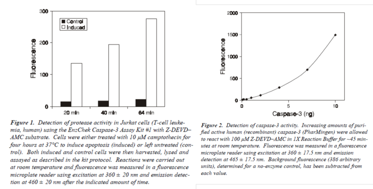 Caspase Activity Assay for Microplate Reader