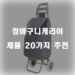  저렴한 장바구니캐리어 제품들 20가지 추천 리스트 입니다