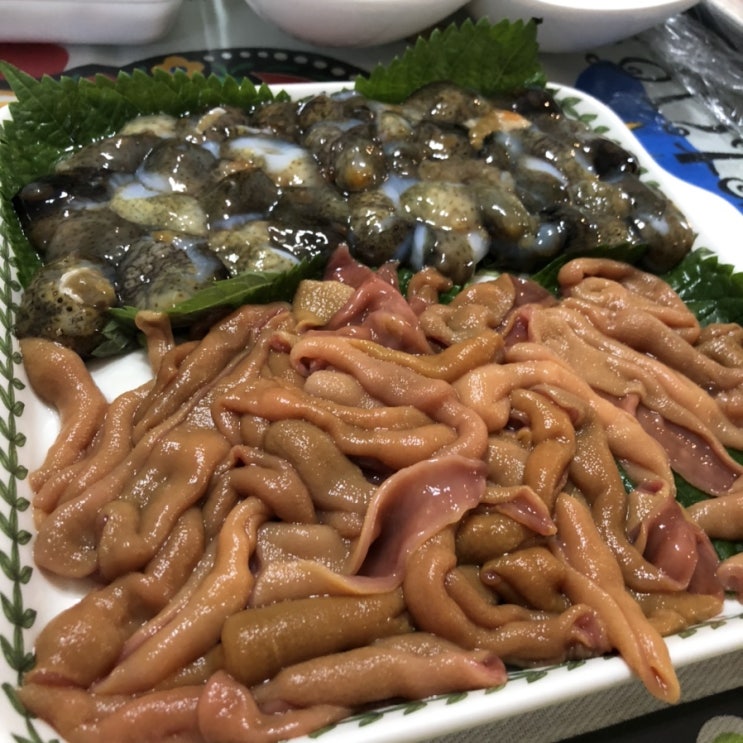  기침 그리고 개불같은 인생
