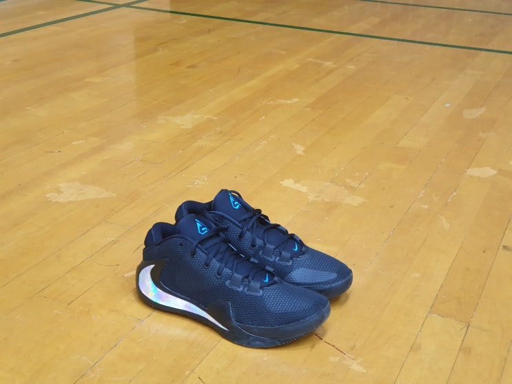  [나이키] 줌 프릭 1 리뷰 :: Nike Zoom Freak 1 Performance Review :: 야니스 아테토쿤보 농구화 :: 코트 착화 리뷰 :: 플레이 리뷰 ::