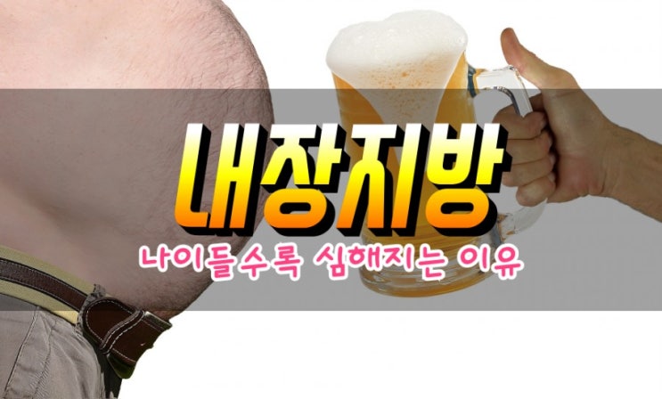  내장지방을 줄이는 가장 효과적인 방법, 배살 빼는 방법 탐구
