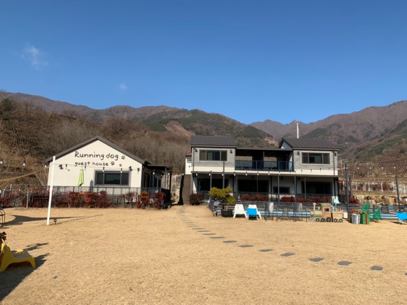 사진 3