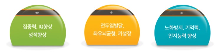  뇌파검사(BQ 뇌기능분석)